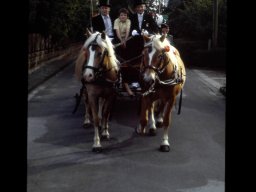 Schützenfest 1988
